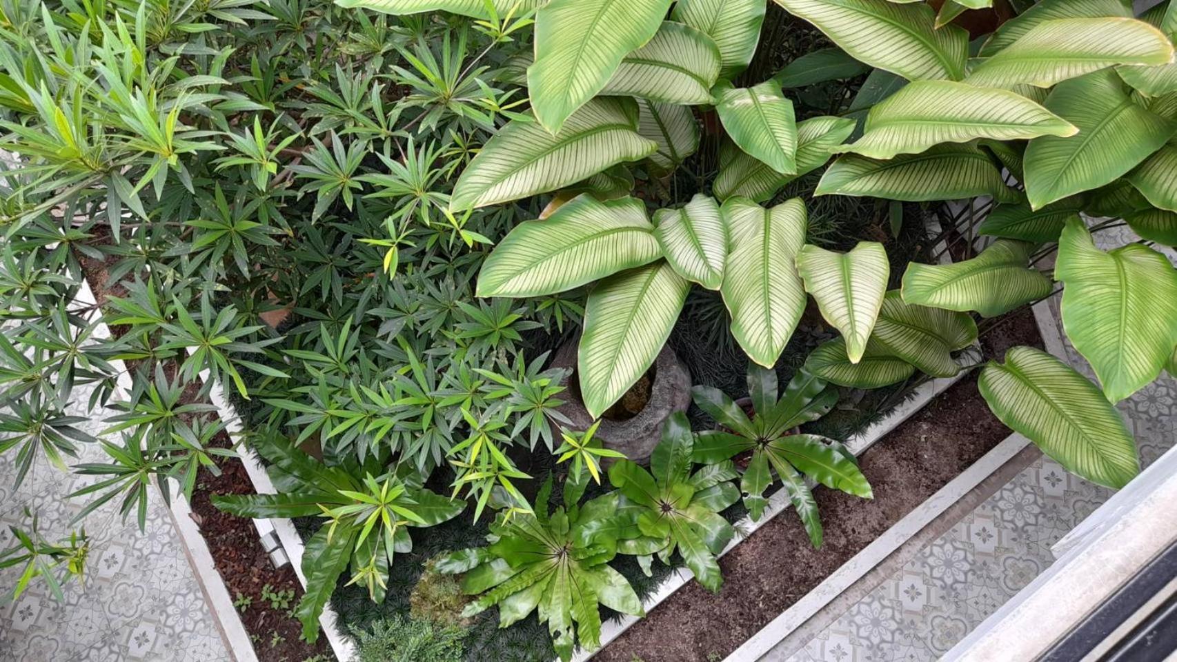 فندق بوتيك بانا هيريتيدج  شيانغ ماي المظهر الخارجي الصورة